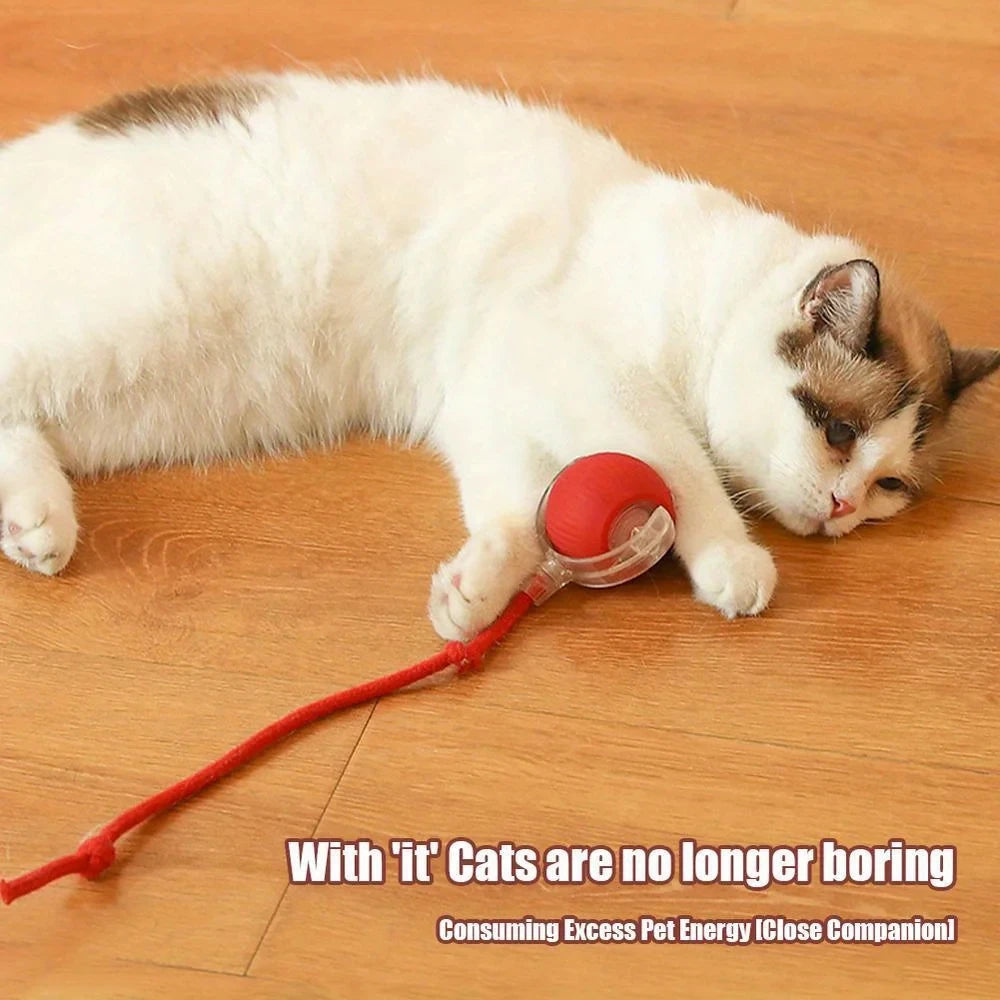 Interactive Self Moving Smart Cat Toy Ball With Rope Tail