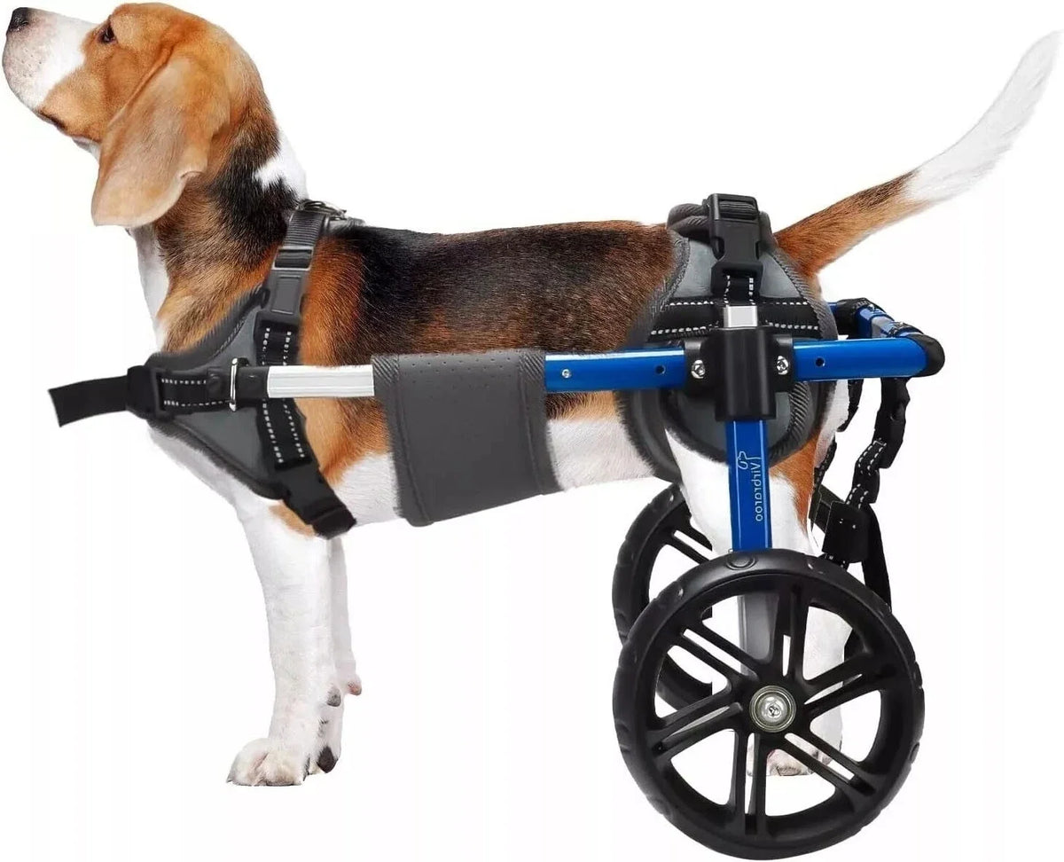Back Leg Dog Wheelchair With All Terrain Tires And Bearings