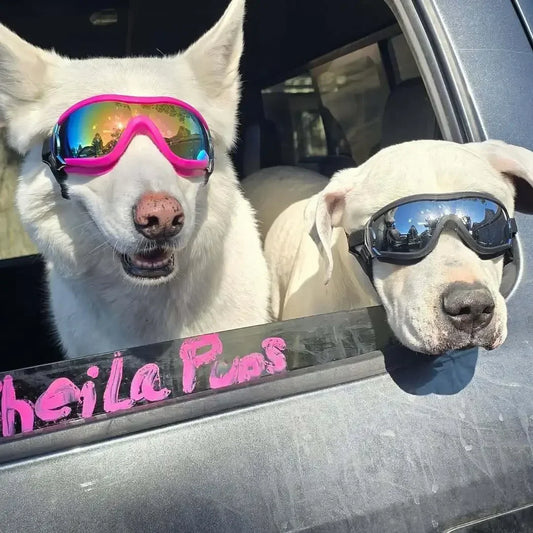 Premium Anti UV Dog Sunglasses For Outdoor Pet Eye Safety