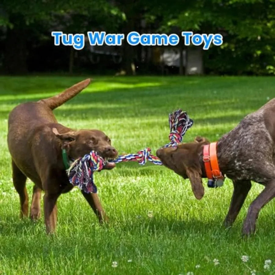 Durable Dog Rope Toy Aggressive Chewers Teeth Cleaning