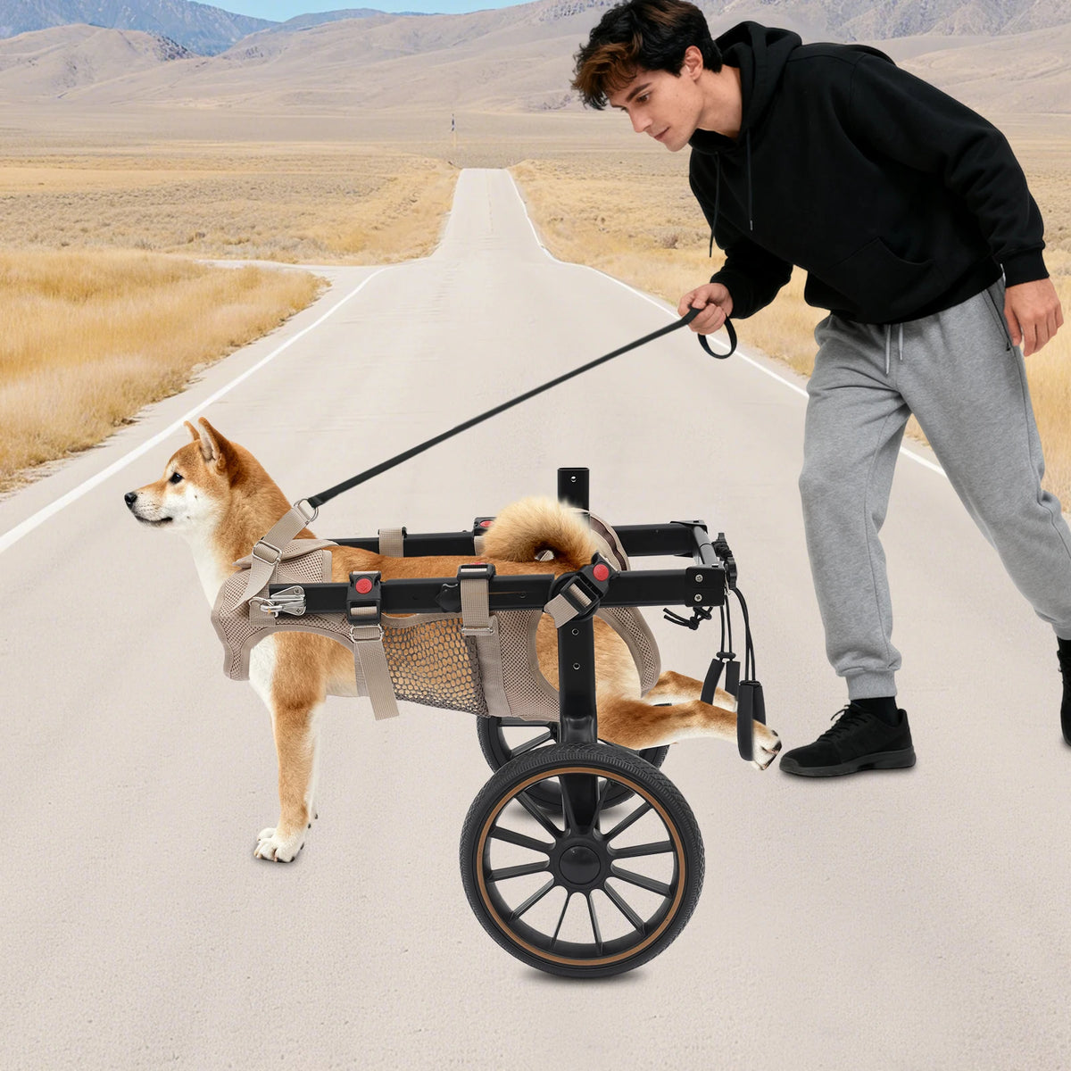 Bymaocar Adjustable Dog Wheelchair For Hind Leg Rehabilitation Support