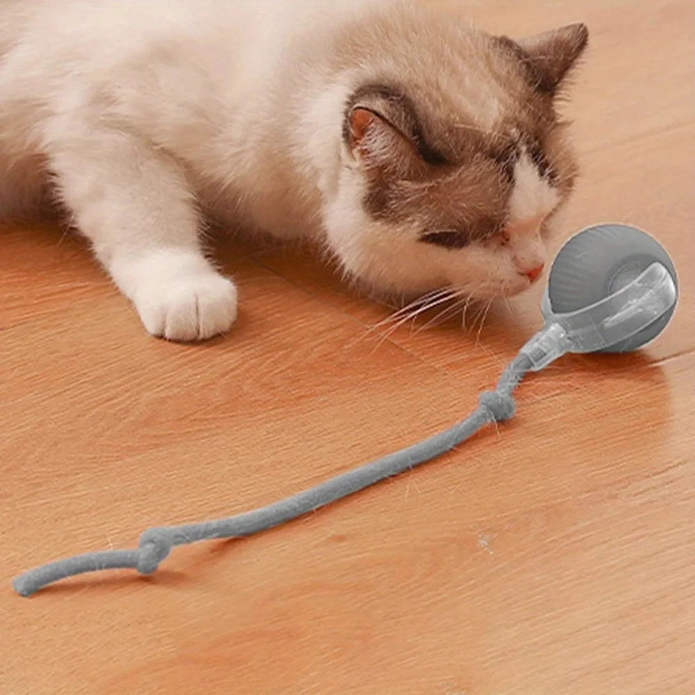 Interactive Self Moving Smart Cat Toy Ball With Rope Tail