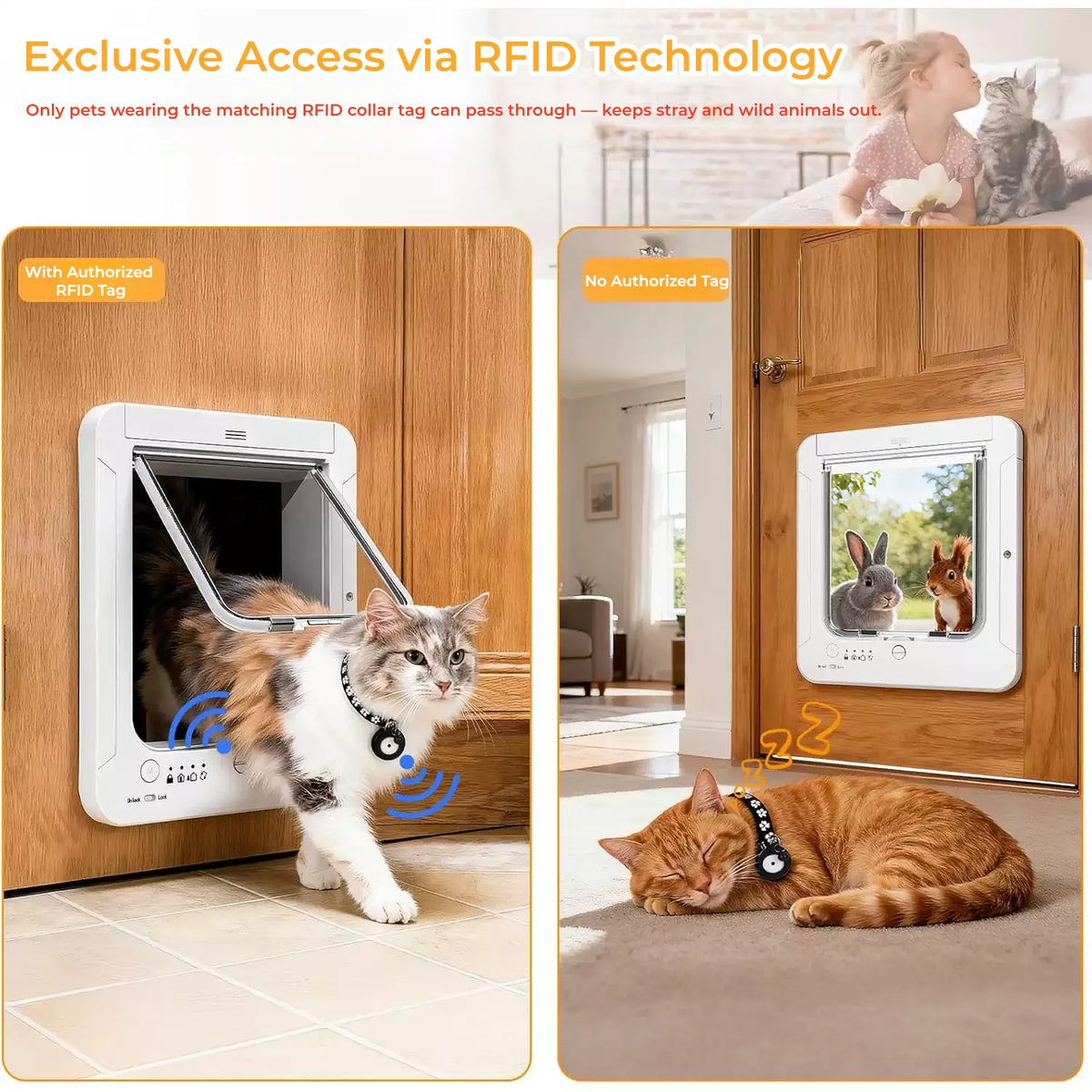 RFID Automatic Cat Door With Collar Recognition And Anti Pinch Safety