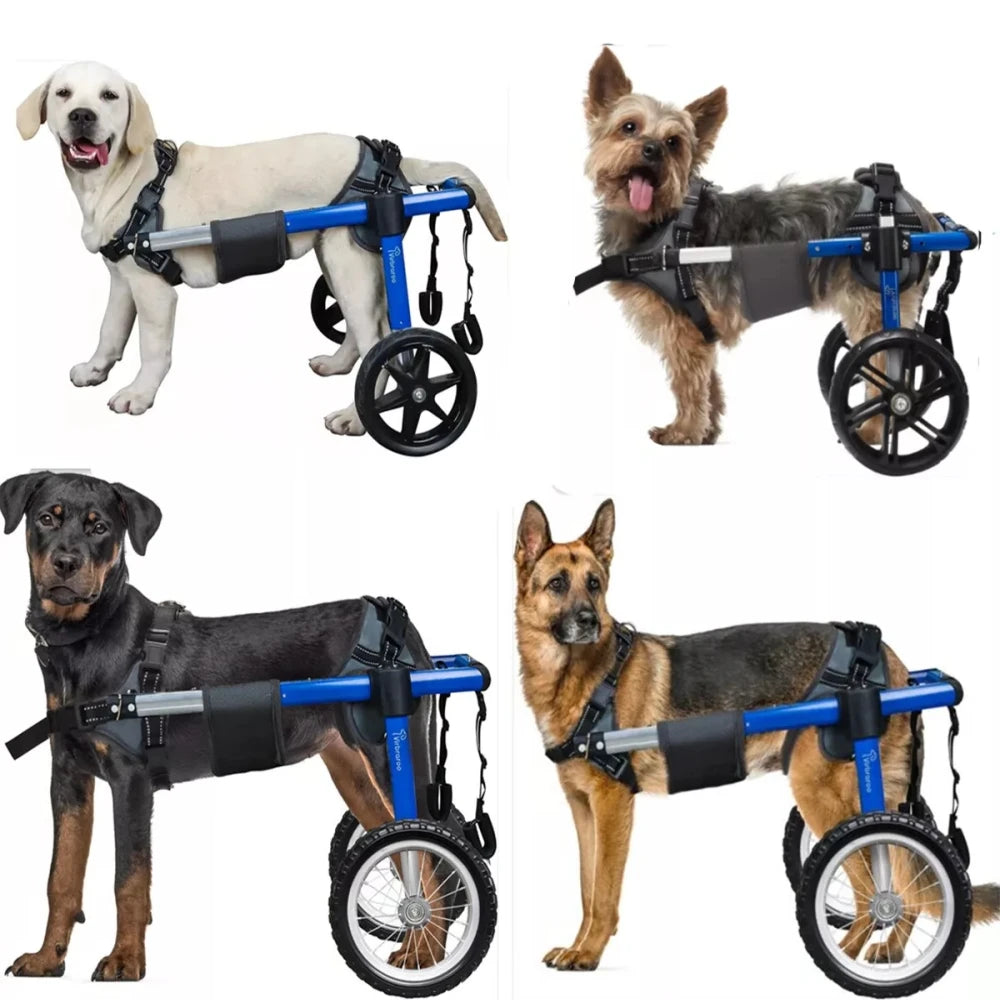 Back Leg Dog Wheelchair With All Terrain Tires And Bearings