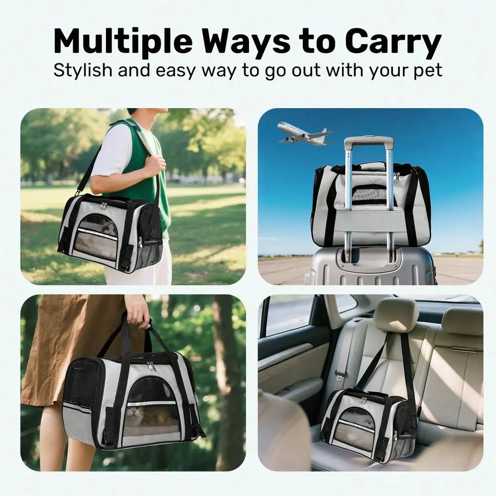 Secure Ventilated Pet Carrier Backpack For Airline Travel