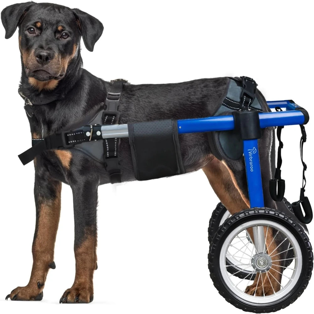 Back Leg Dog Wheelchair With All Terrain Tires And Bearings
