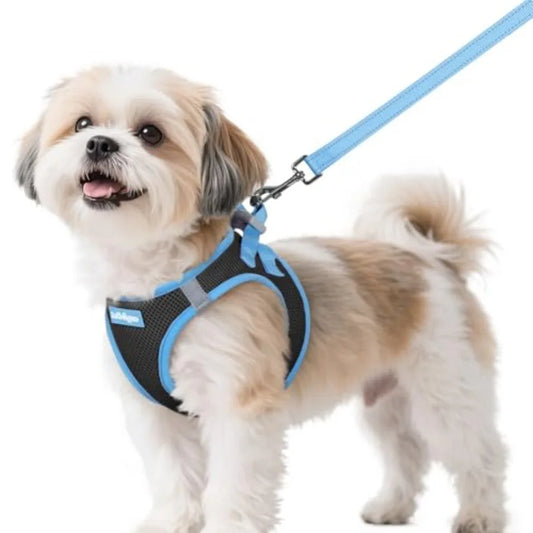 Reflective Soft Step In Vest Dog Harness With Leash Set