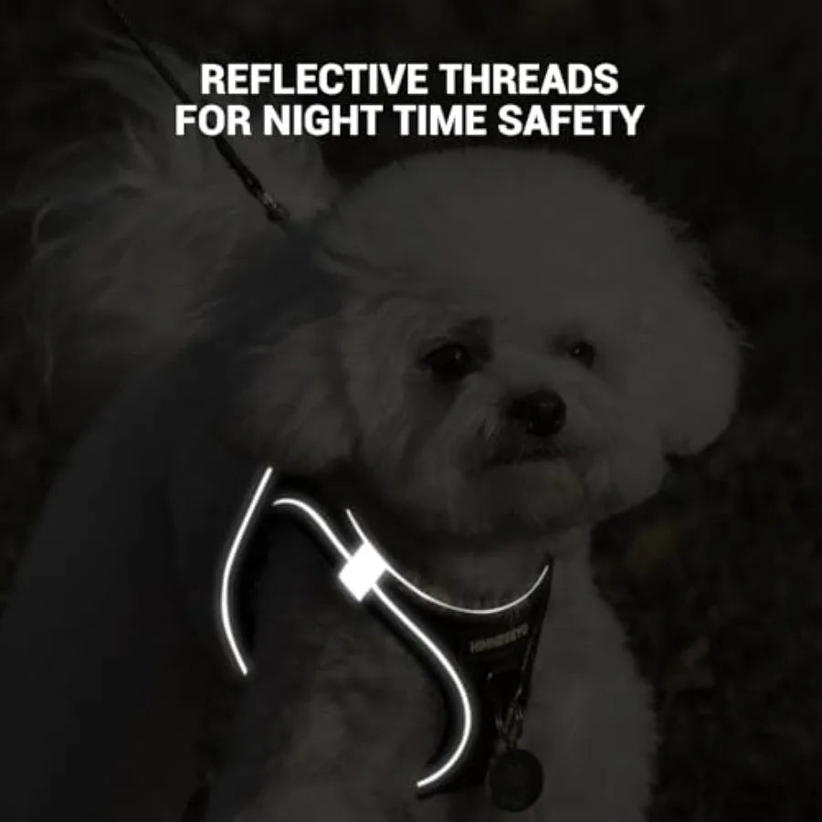 Reflective Breathable Dog Harness And Leash Set For Puppies