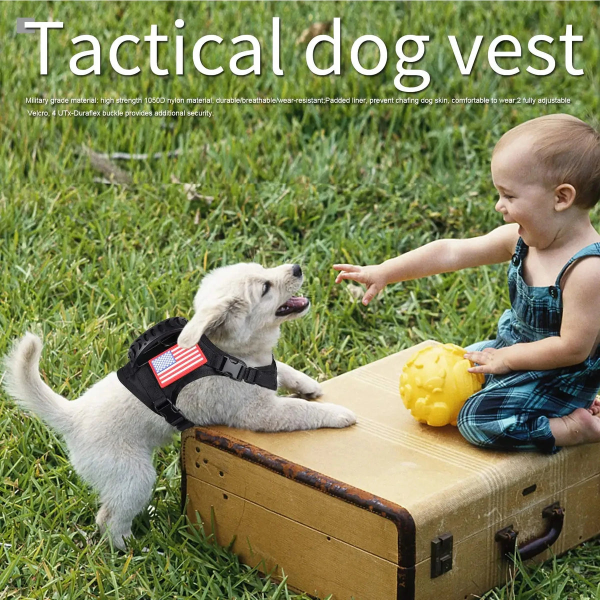 Petravel Tactical Dog Harness And Leash Set For Puppies