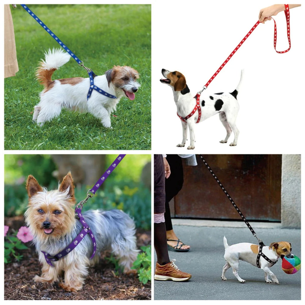 Durable Nylon Walking Dog Harness And Adjustable Leash Set