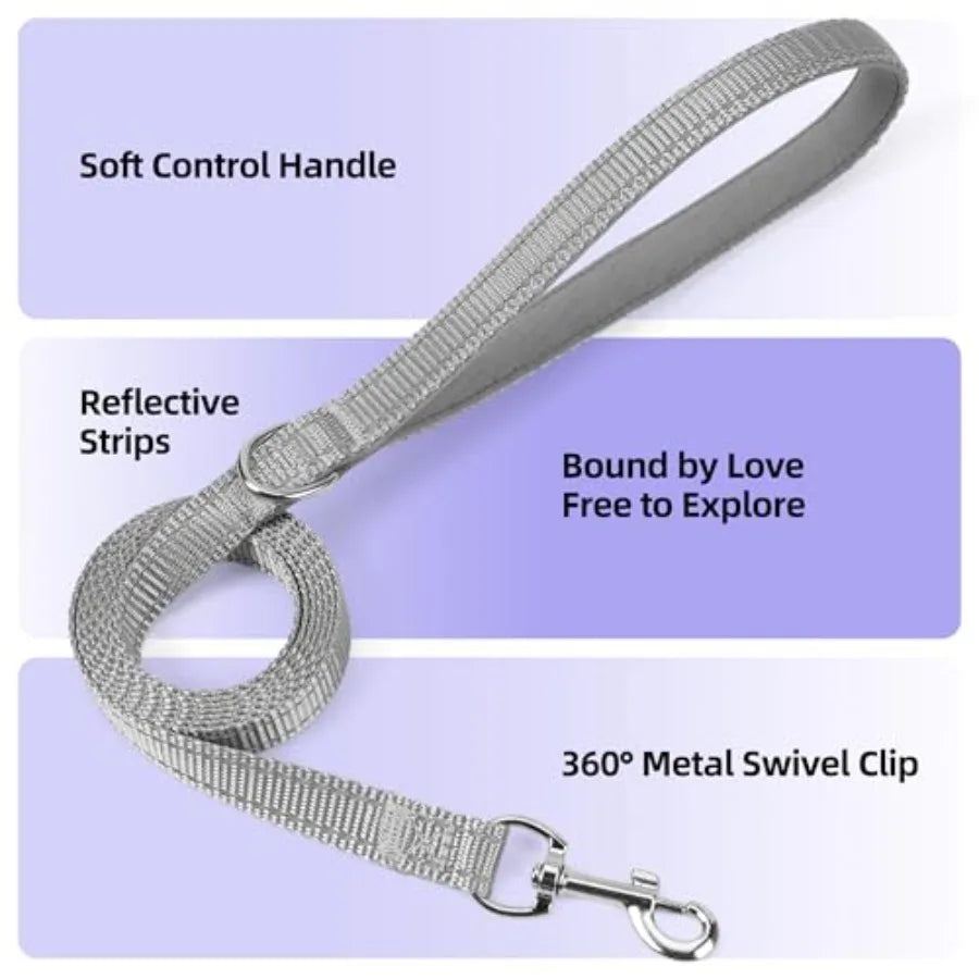 Breathable Reflective Step In Dog Harness And Leash Set