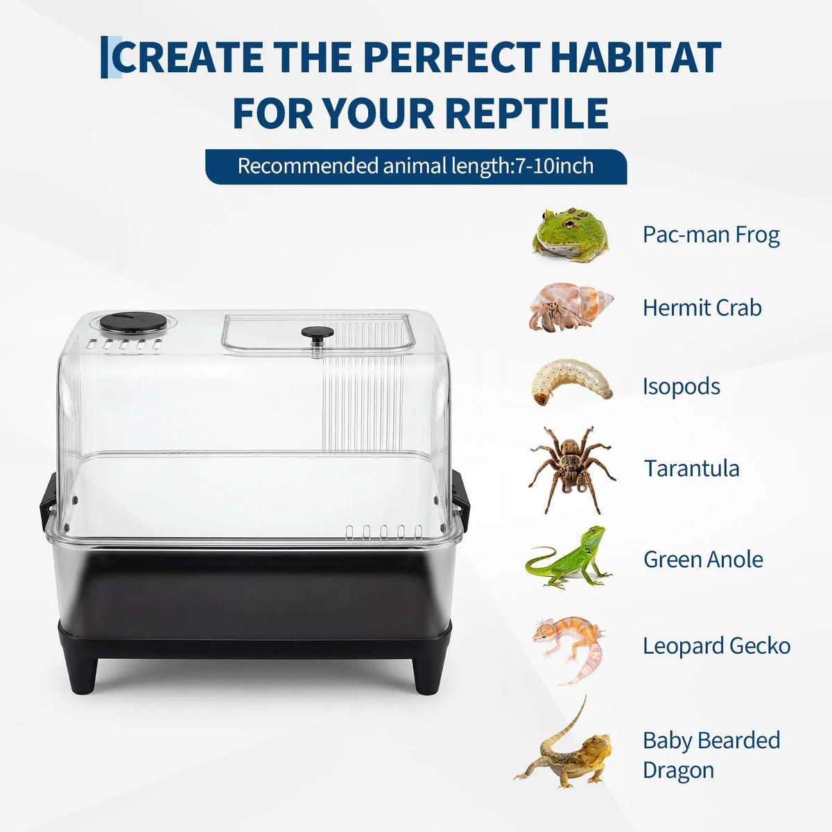 MeterMall Complete Reptile Terrarium Kit With Heating Pad And Sand