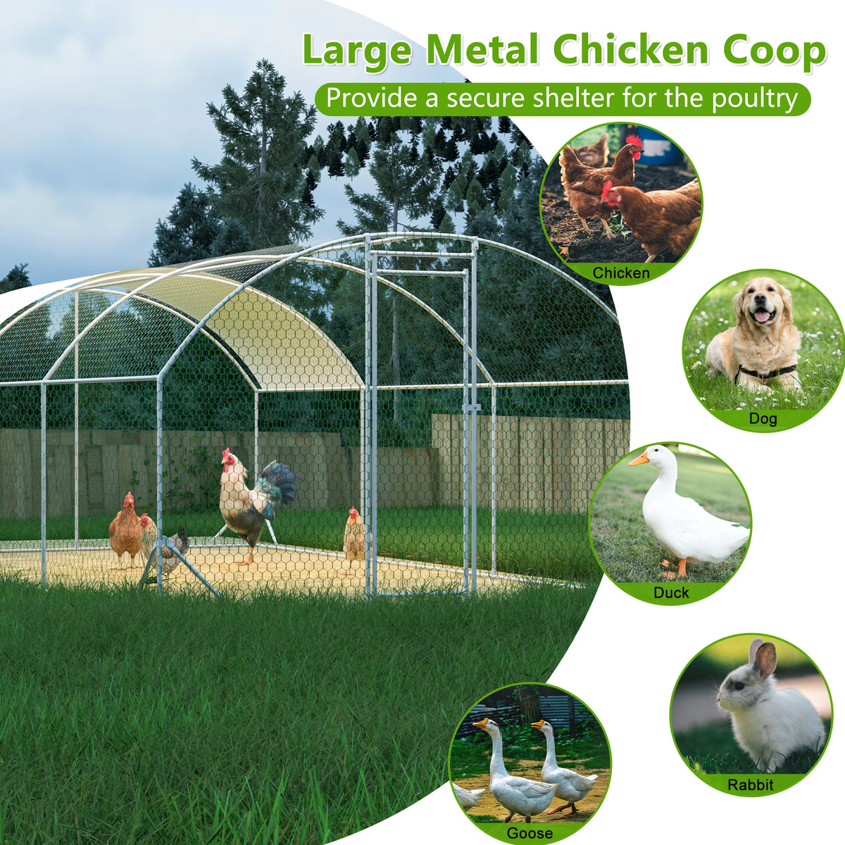 9.84x19.68x6.56 FT Dome Galvanized Steel Chicken Coop Run Large UV Waterproof Cover Walk In Poultry Pen For Chickens Ducks Rabbits Backyard Outdoor