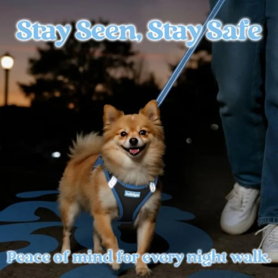 Reflective Soft Step In Vest Dog Harness With Leash Set