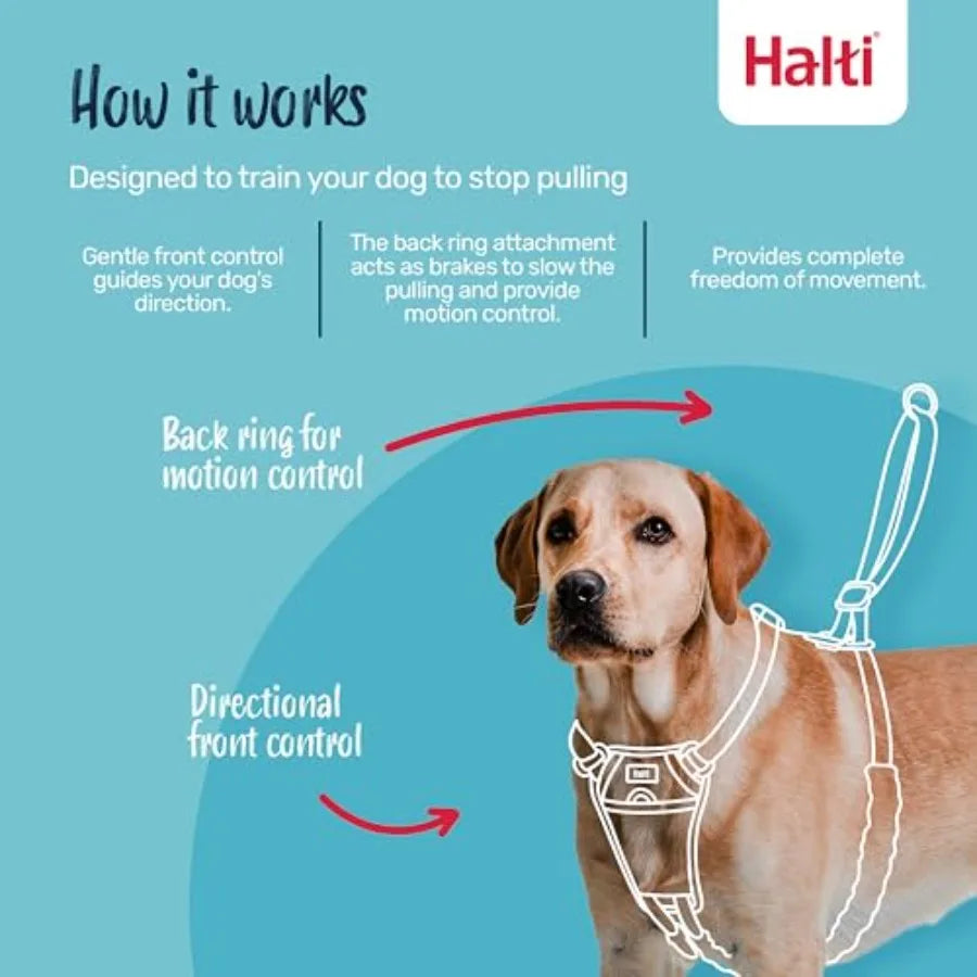 Adjustable No Pull Dog Training Harness For Comfortable Walks