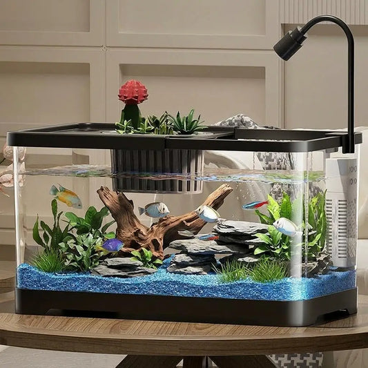 Complete Fish Tank Starter Kit With Filter And Light