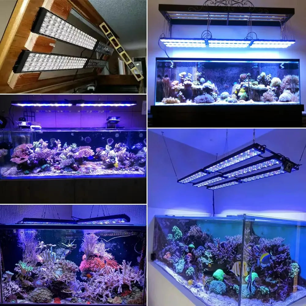 PopBloom Full Spectrum Led Aquarium Light With Digital Timer Control