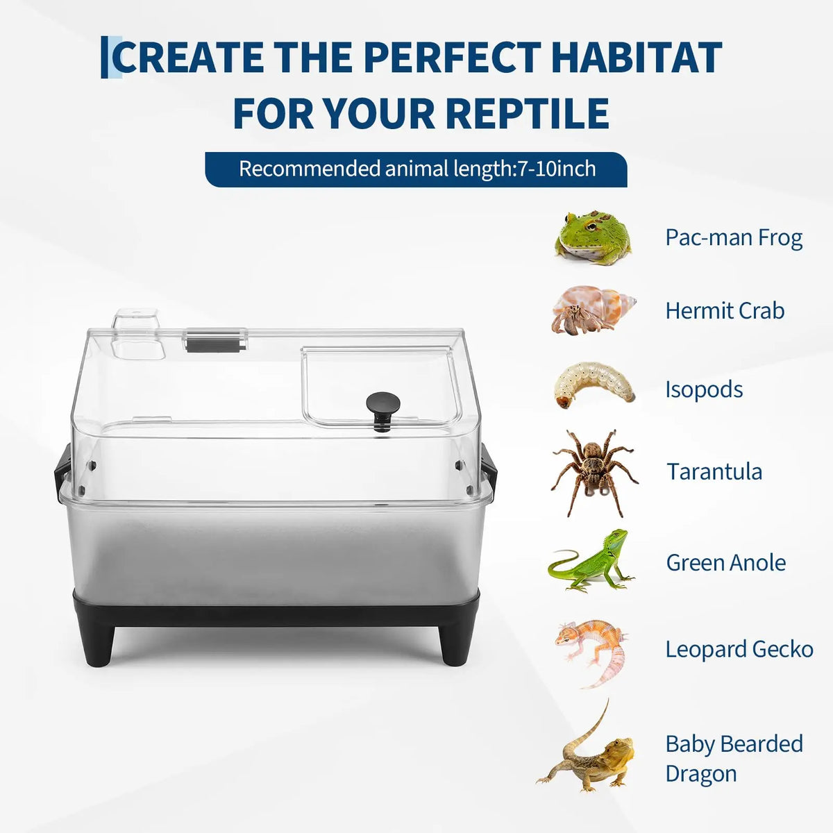 HiMiss Reptile Terrarium Kit With Lid Heating Pad And Accessories