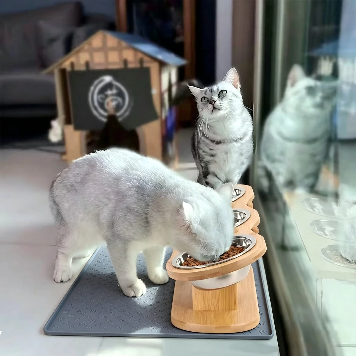 Elevated Cat Feeder With Three Stainless Bowls Tilted Wood Stand