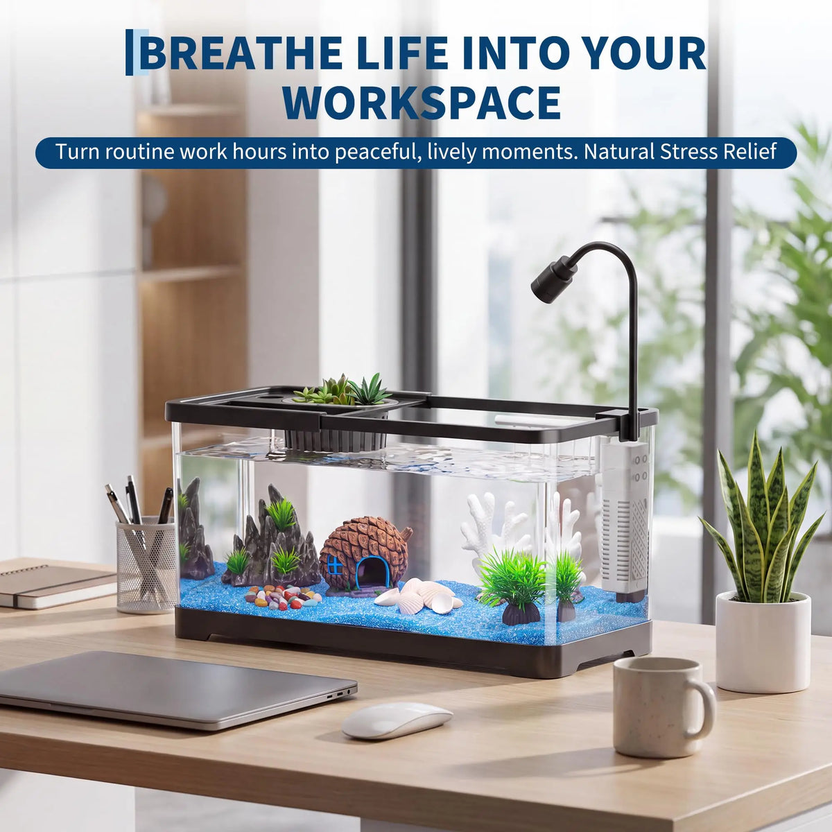 Complete Plastic Fish Tank Starter Kit With Filter And Light