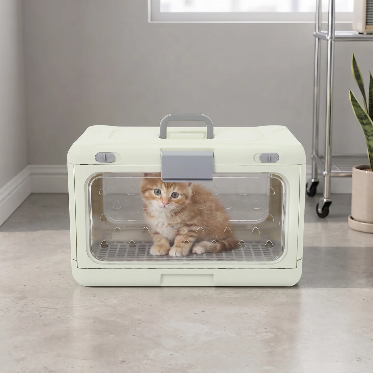 Foldable Travel Pet Carrier With Breathable Iron Frame Design