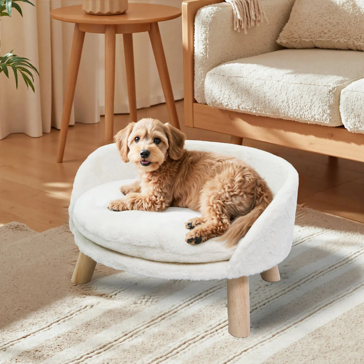 Borwart Elevated Pet Sofa Bed With Removable Padded Cushion