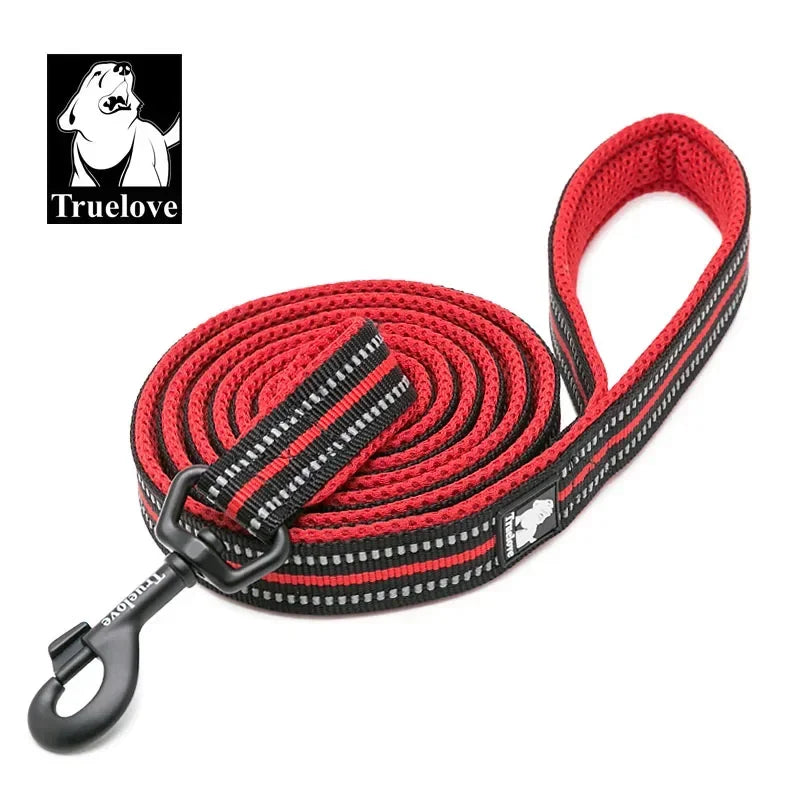 TRUELOVE Reflective Padded Nylon Pet Leash for Walking and Training