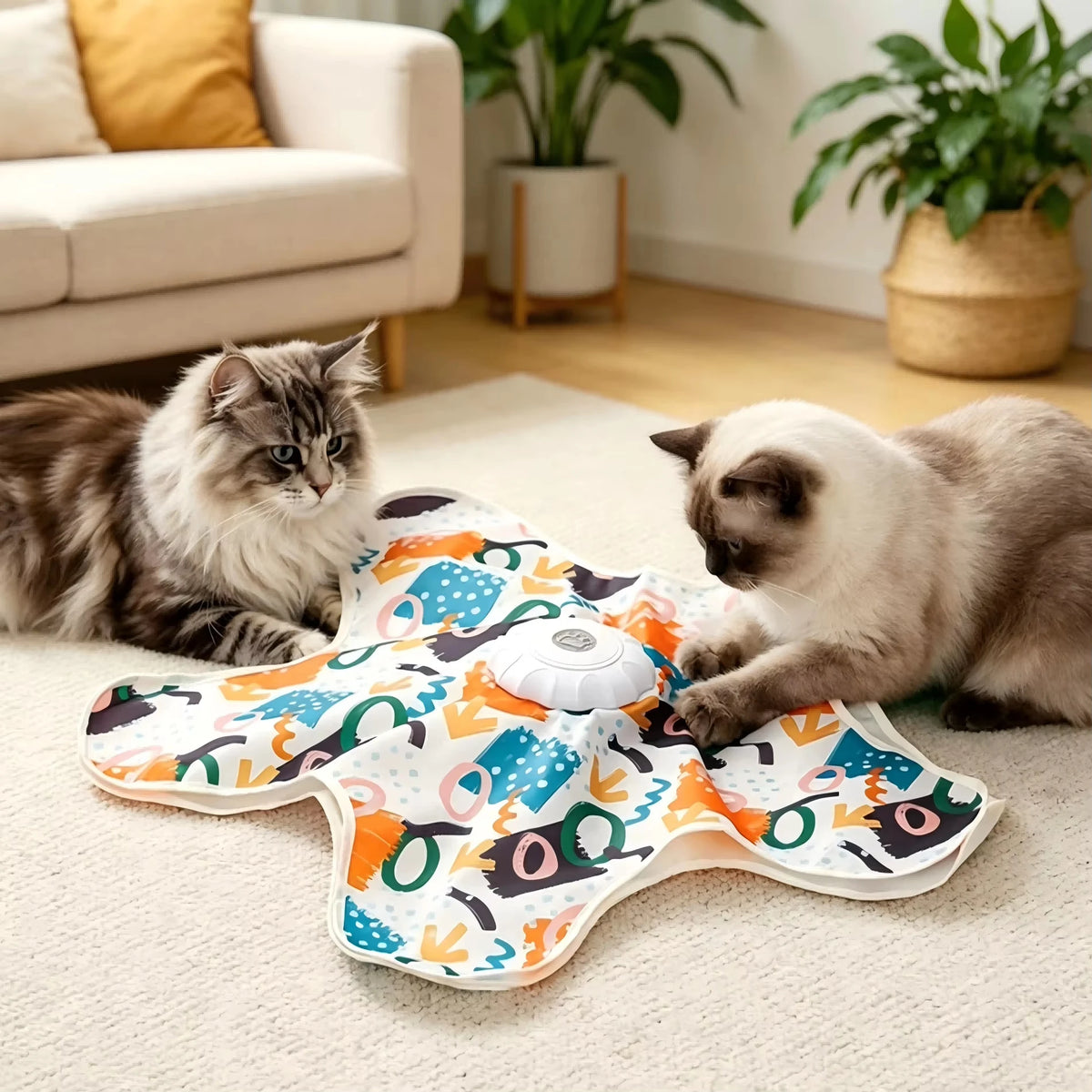 PETRAVEL Interactive Hide And Seek Cat Toy With Moving Feather