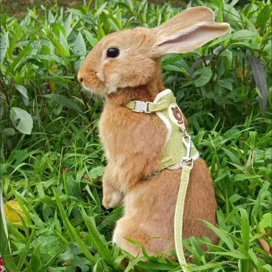 Padded Linen Rabbit Harness And Leash Set For Outdoor Walks