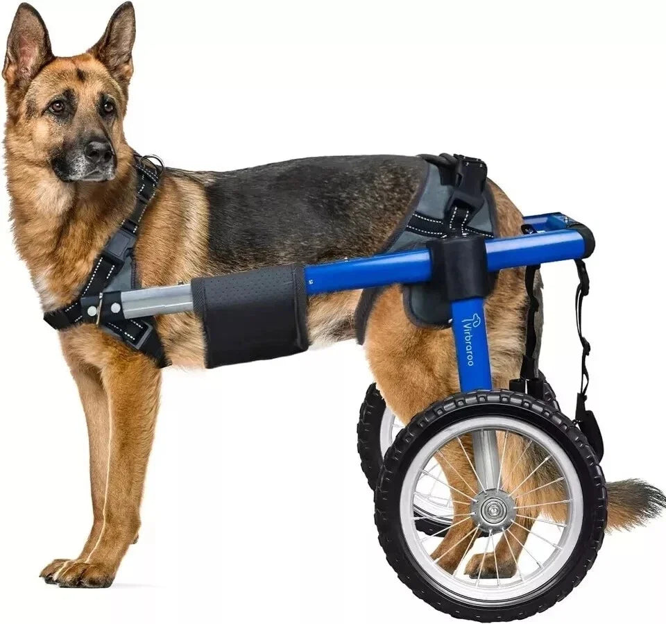 Back Leg Dog Wheelchair With All Terrain Tires And Bearings