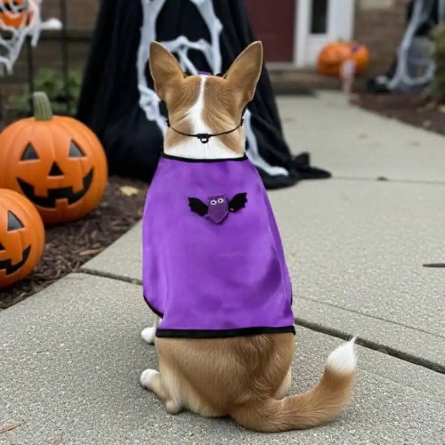 Halloween Vampire Cape and Bat Mask Costume for Pets