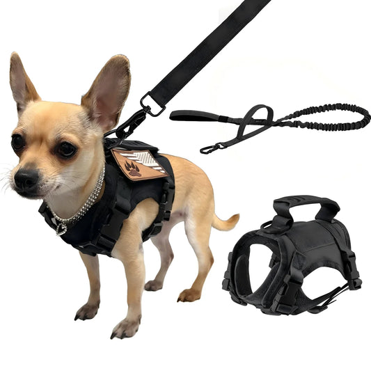 Petravel Tactical Dog Harness And Leash Set For Puppies