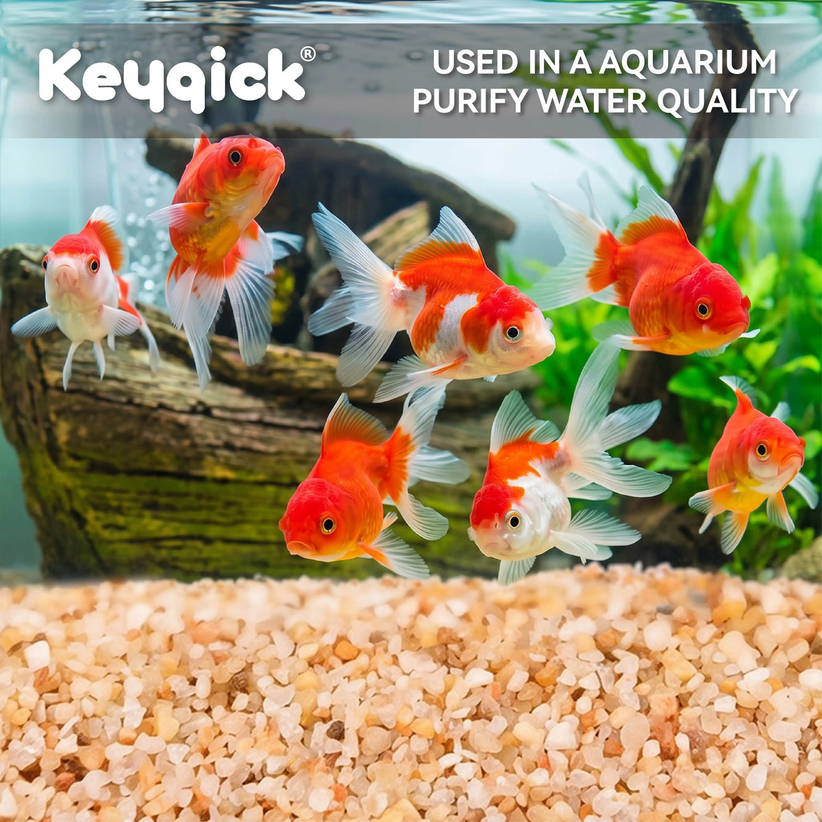 Natural Aquarium Sand Gravel Substrate For Aquascaping And Terrariums