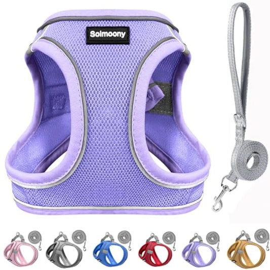 Breathable Reflective Step In Dog Harness And Leash Set