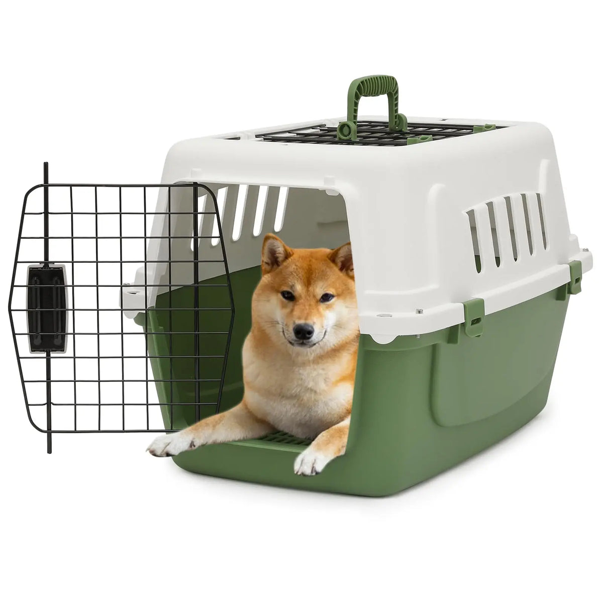 Athena Collection Hard Sided Travel Carrier For Small Pets