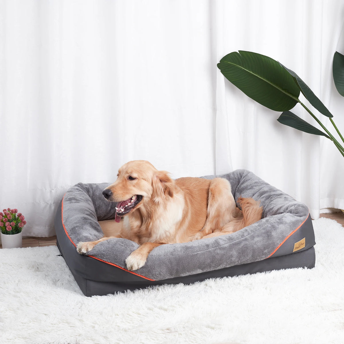 Bingopaw Large Dog Bed Removable Washable Fleece Cover