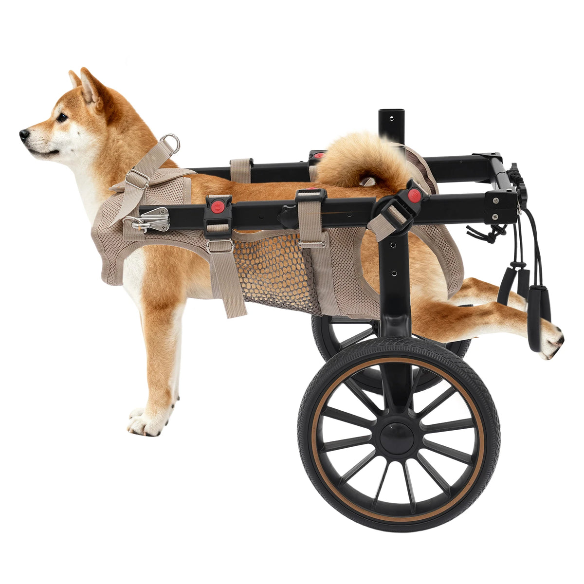 Bymaocar Adjustable Dog Wheelchair For Hind Leg Rehabilitation Support