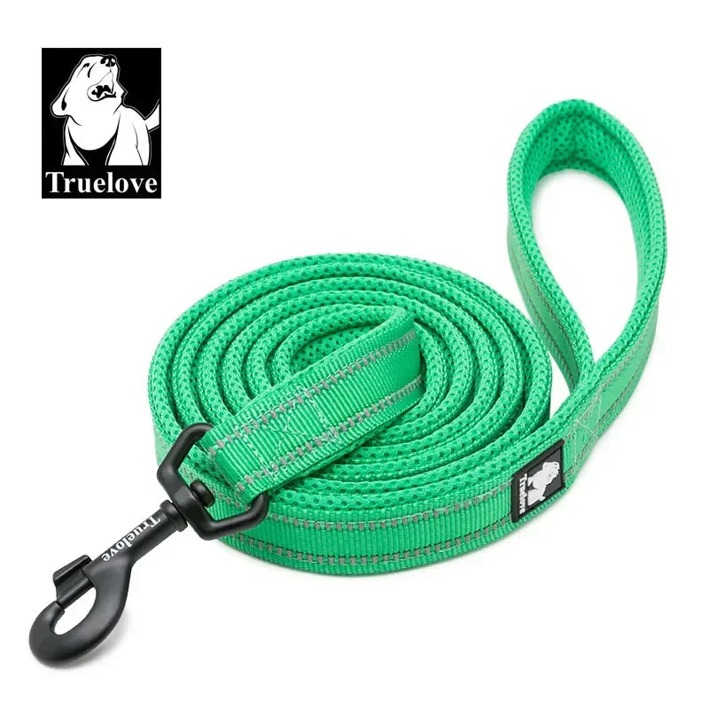 TRUELOVE Reflective Padded Nylon Pet Leash for Walking and Training