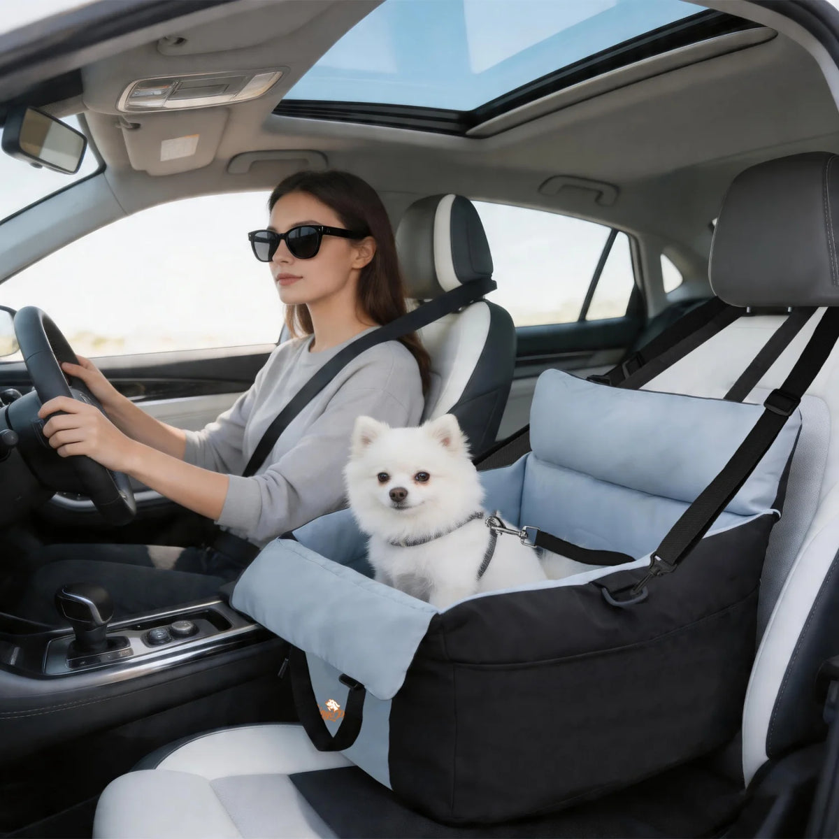 BINGOPAW Washable Dog Car Seat Booster With Safety Belt