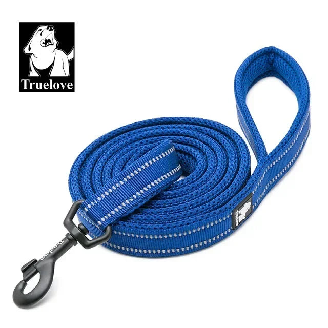 TRUELOVE Reflective Padded Nylon Pet Leash for Walking and Training