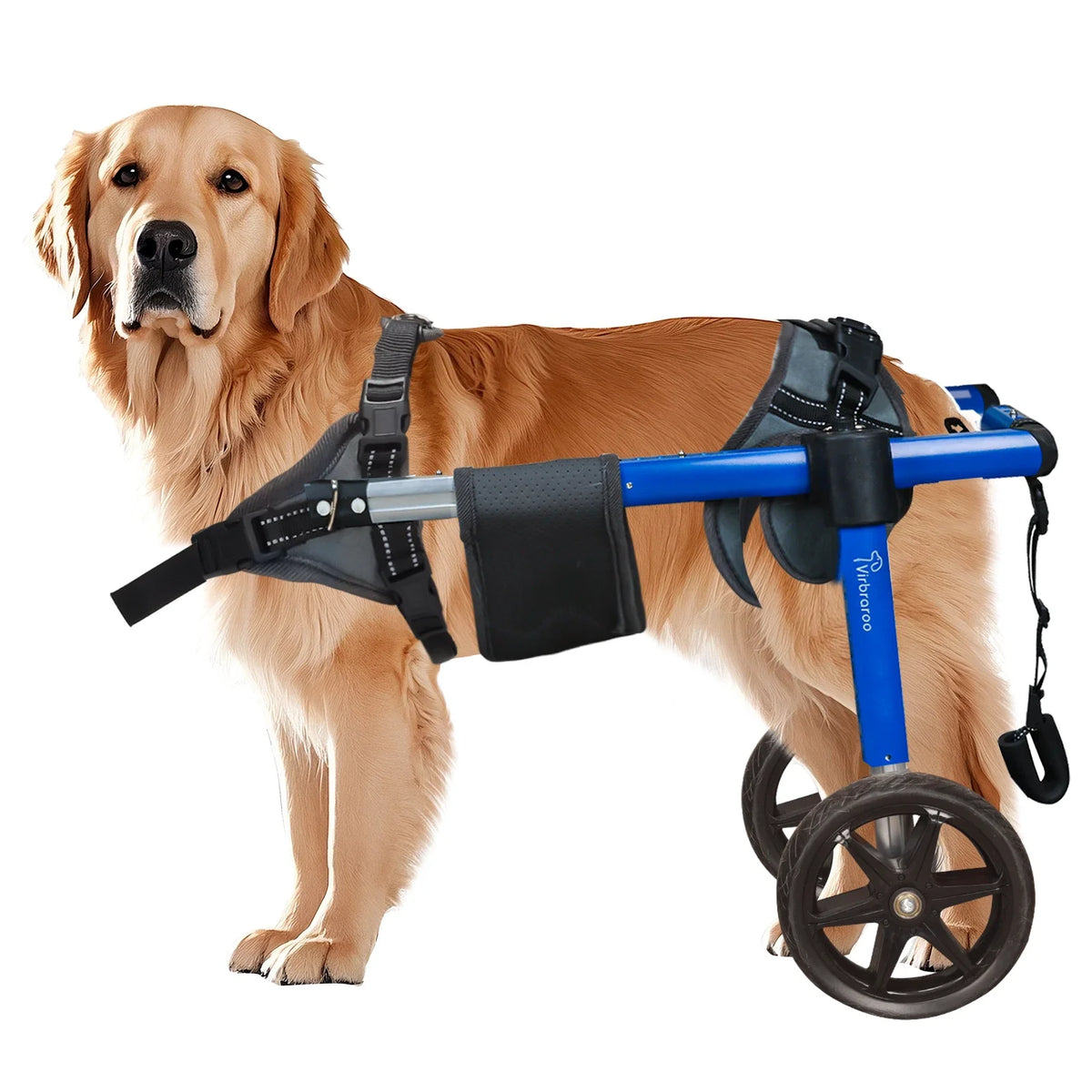 Back Leg Dog Wheelchair With All Terrain Tires And Bearings