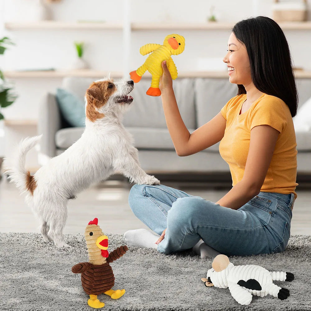 Plush Squeaky Dog Toy Assortment Bundle For Fun Chew Play
