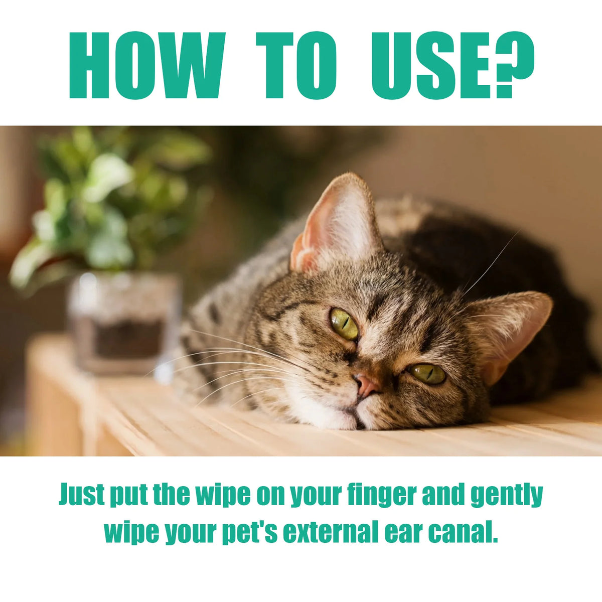 Pet Ear Cleaning Finger Wipes for Cats & Dogs, Mild Formula, Remove Earwax, Deodorize & Clean Eyes Paws
