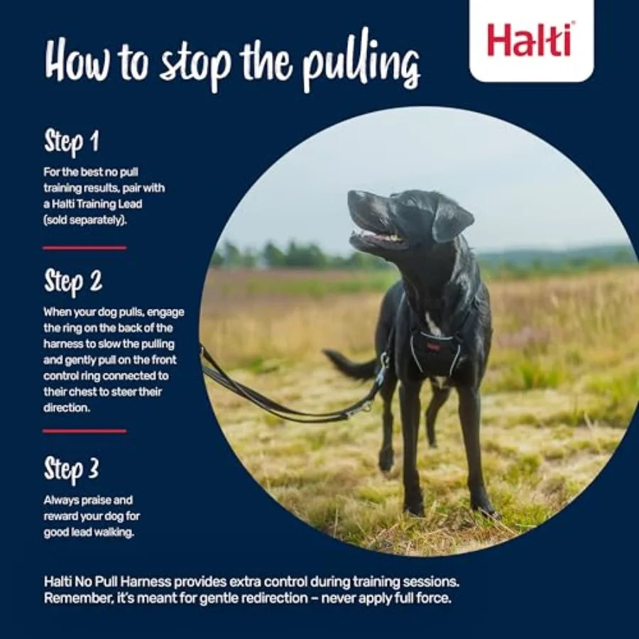 Adjustable No Pull Dog Training Harness For Comfortable Walks