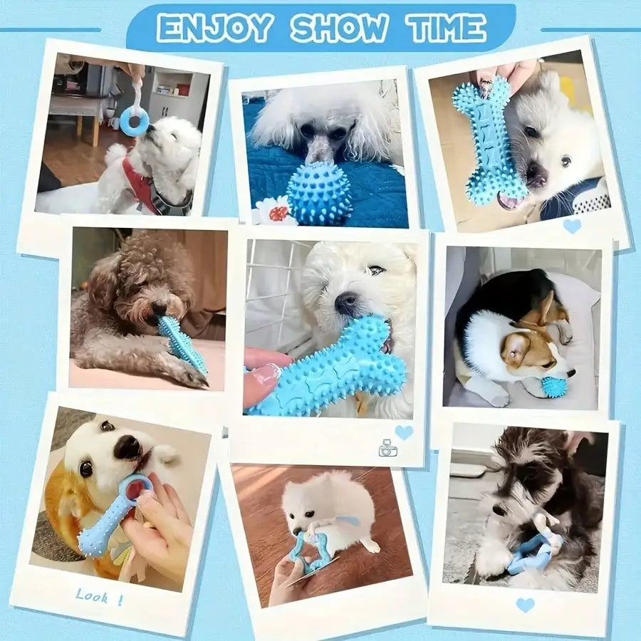 Durable Dog Chew Toys For Dental Health And Active Play