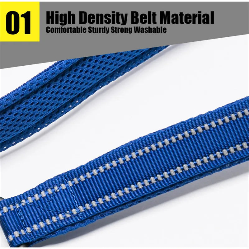 TRUELOVE Reflective Padded Nylon Pet Leash for Walking and Training