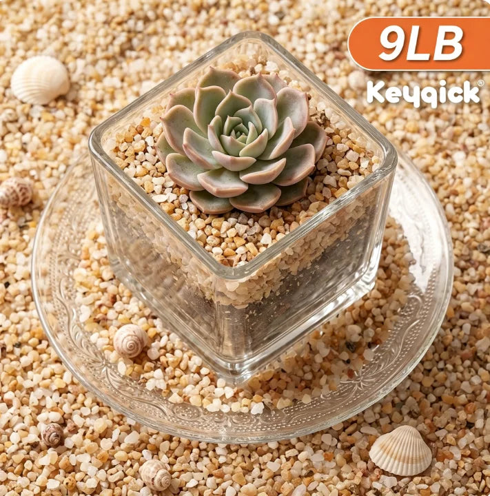 Natural Aquarium Sand Gravel Substrate For Aquascaping And Terrariums