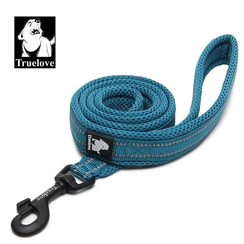 TRUELOVE Reflective Padded Nylon Pet Leash for Walking and Training