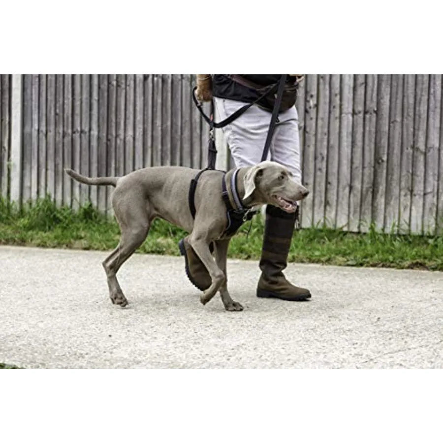 Adjustable No Pull Dog Training Harness For Comfortable Walks
