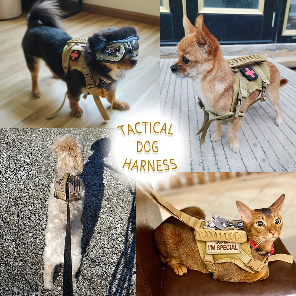 Petravel Tactical Dog Harness And Leash Set For Puppies
